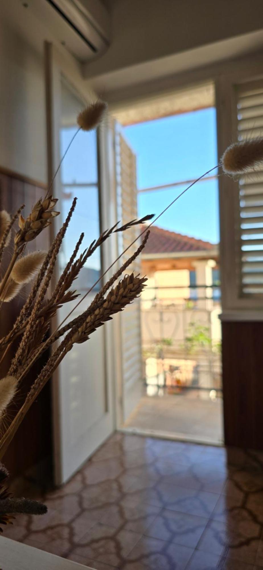 פרקו Apartman Andela מראה חיצוני תמונה
